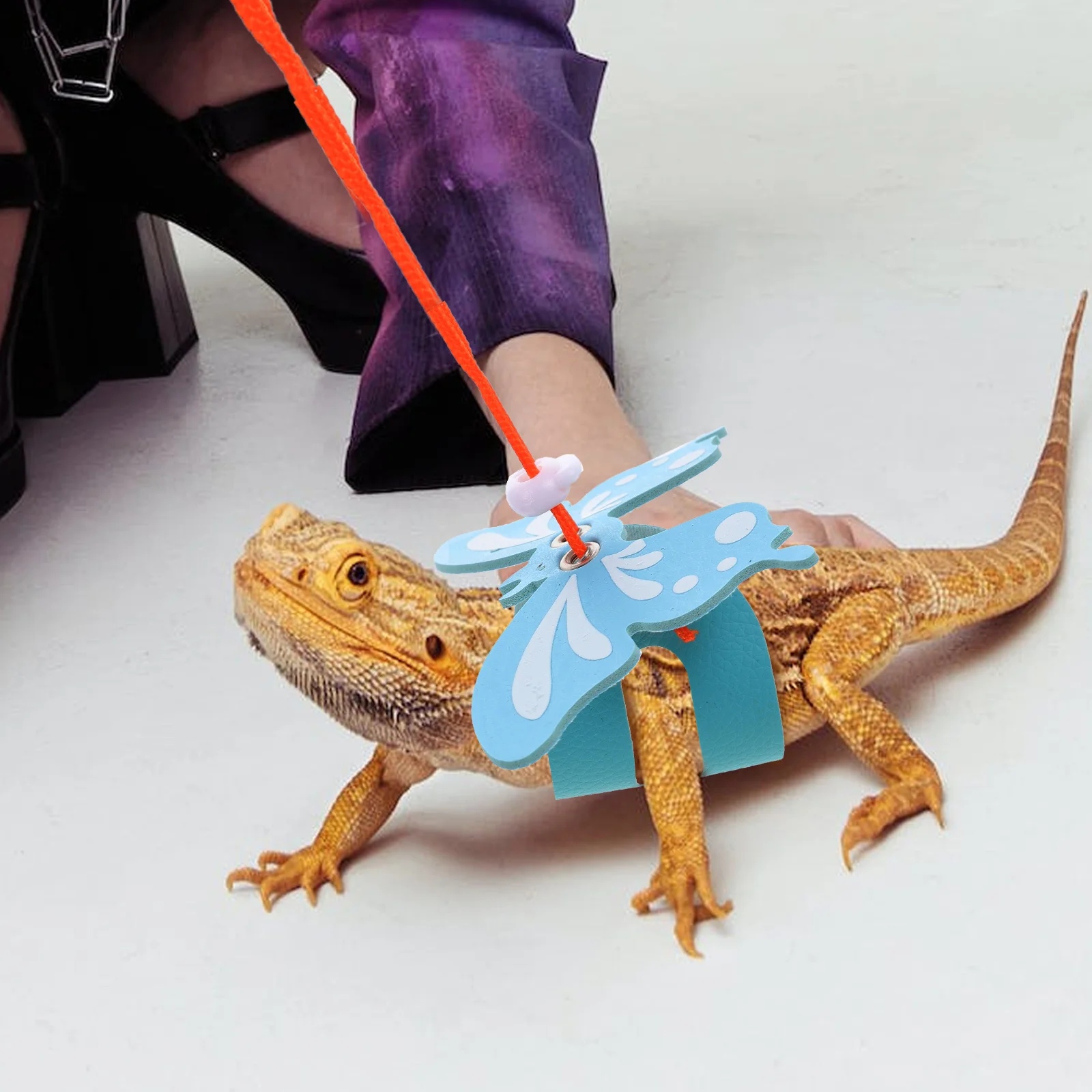 

1Set Lizard Leash Lightweight Durable Adjustable Lizard Harness Leash Reptile Walking Rope Suitable for Bearded Dragon Gecko