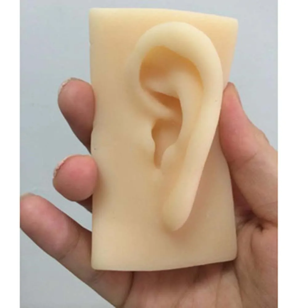 1 pair 1:1 Natural Size Human Left/Right Ear Model Life Size Silicone Ear Acupuncture Practice Model Simulation Model of The Ear