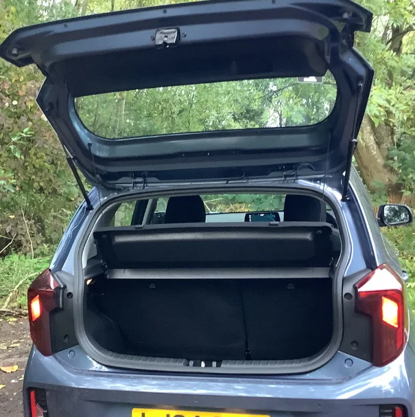 

Auto Struts With Springs For Kia Picanto Morning JA 2018-present Hatchback Rear Tailgate Trunk Boot Lift Supports Shock Damper