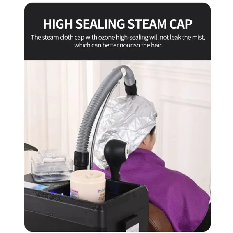 2 in 1 Professional Hair Steamer, Micromist Soft Cap, Nano Mist Machine, Portable Table Top Hair SPA for Salon and Home Use