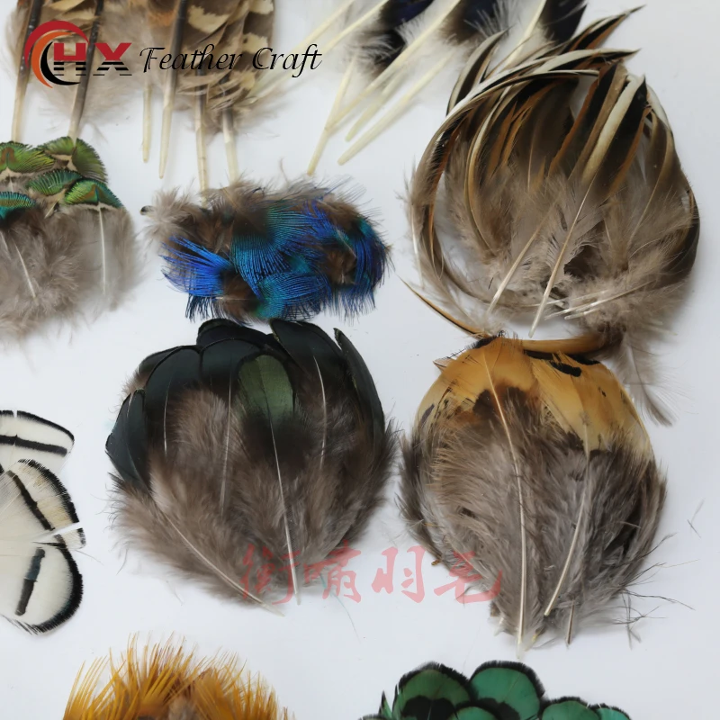 Wholesale Natural Pheasant Peacock Feathers Small Eagle Chicken Plumes Ostrich Decor DIY Handicraft Accessories Jewelry Creation