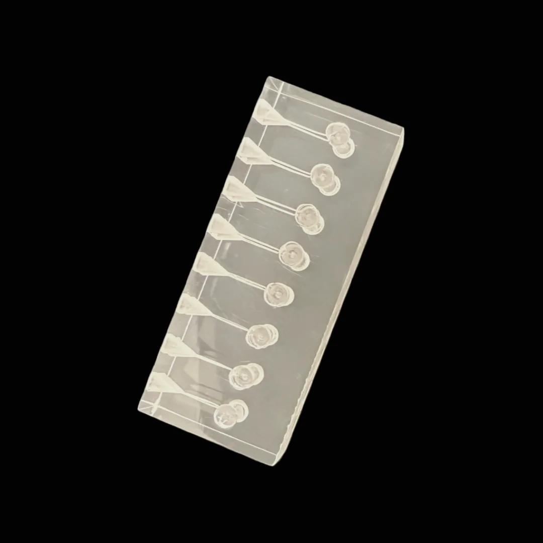 Thumbnail 3 - #69 Dental Teaching Models List of Top Picks