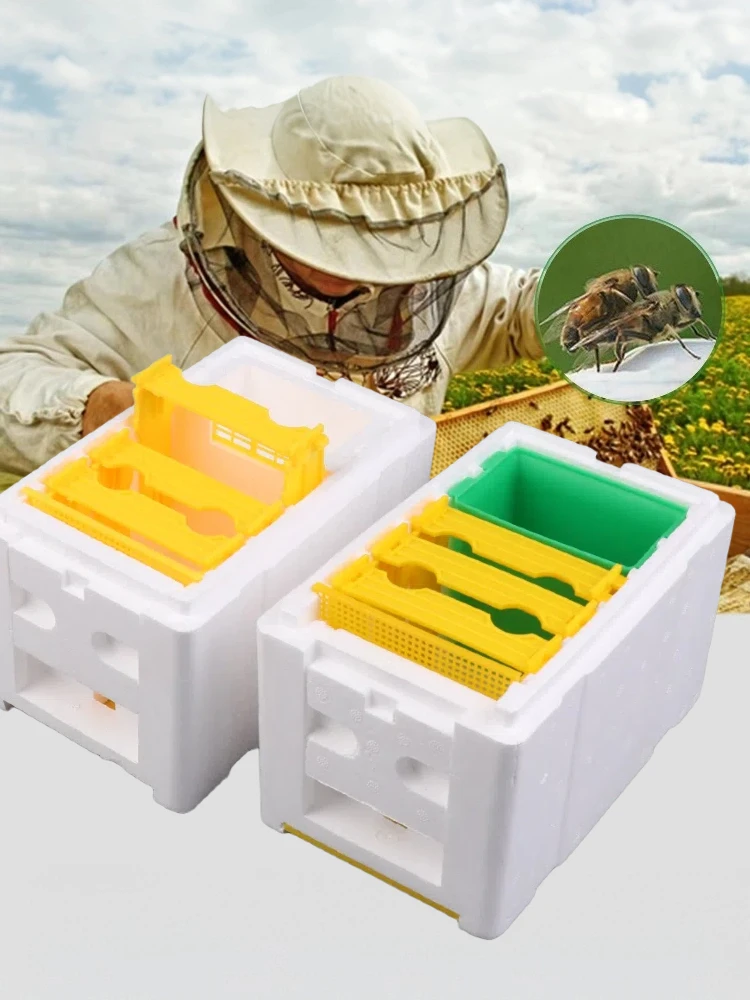 Caja de Cría de Abejas Reina, Caja de Fecundación de Abejas, Caja de Espuma para Colmena, Caja de Cría para Apicultura, Equipo de Apicultura