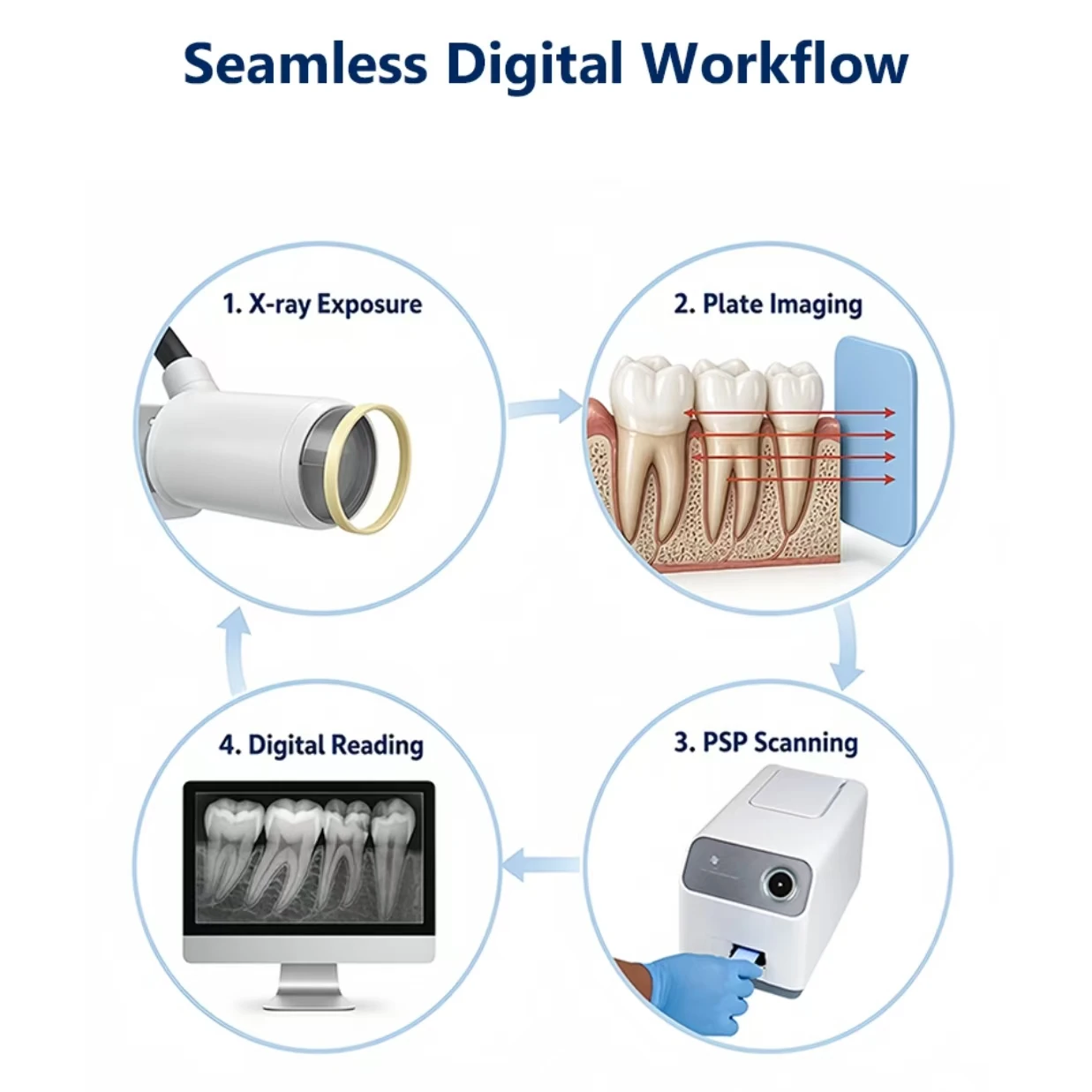 Dental Xray Phosphor Imaging Plate Phosphor Storage Plates Dentistry Imaging Dental Tools Applied For Intraoral X Ray Scanning