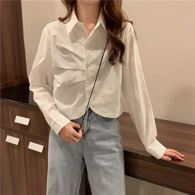 2024 Spring and Autumn New Elegant Women\'s Shirt Long-sleeved Base Shirt Women\'s Loose Chiffon Shirt Inner and Outer Blouse