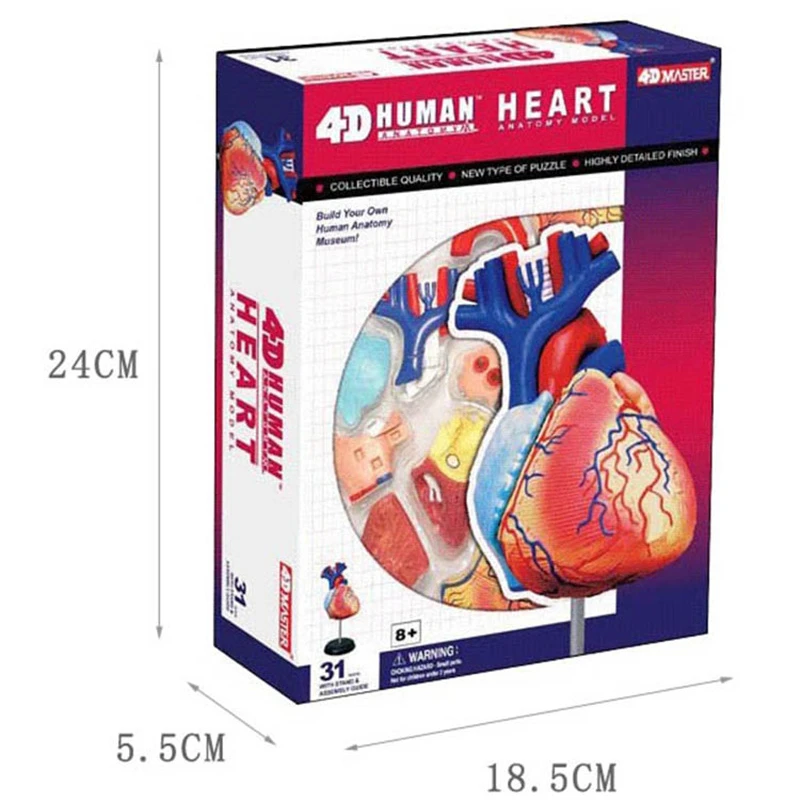 4d Master Heart Human Body Organ Anatomical Medical Teaching Model Puzzle Assembling Toy