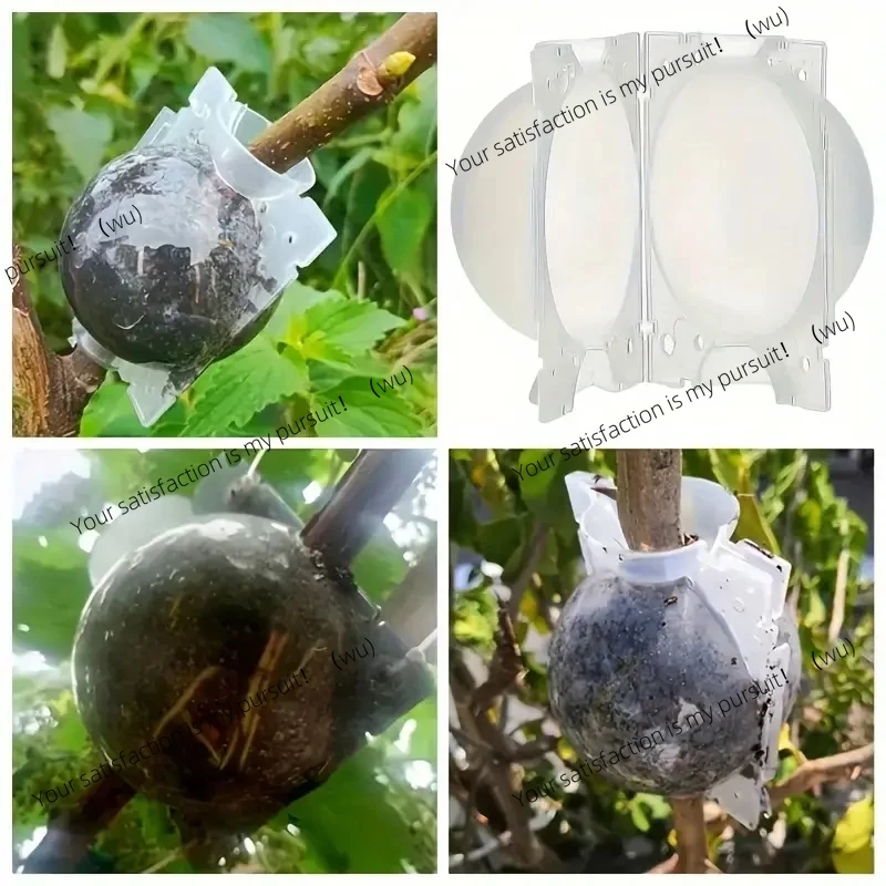 

Plant Rooting Device Plant High Pressure Propagation Device Plastic Rooting Grafting High Pressure Propagation Ball Cutting Graf