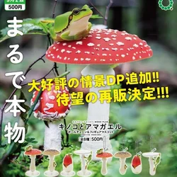 KITAN CLUB Original Gashapon Capsule Toys Figure Kawaii Mushroom Rain Frog Keychain Cute Miniature Figurine Anime Desktop Decor