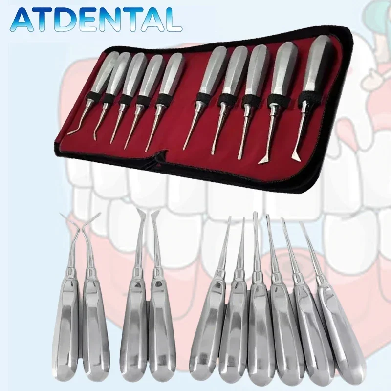 10pcs Stainless Steel Dental Lift Set, Flapless Extraction Tools with Fine Tips for Oral Surgeon