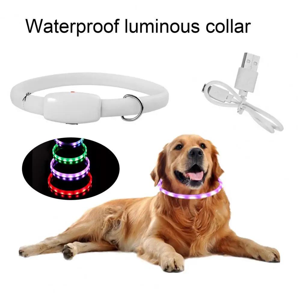 LED Pet Collar Adjustable Mult Flashing Modes Waterproof Glowing Rechargeable Lightweight Dog Collar