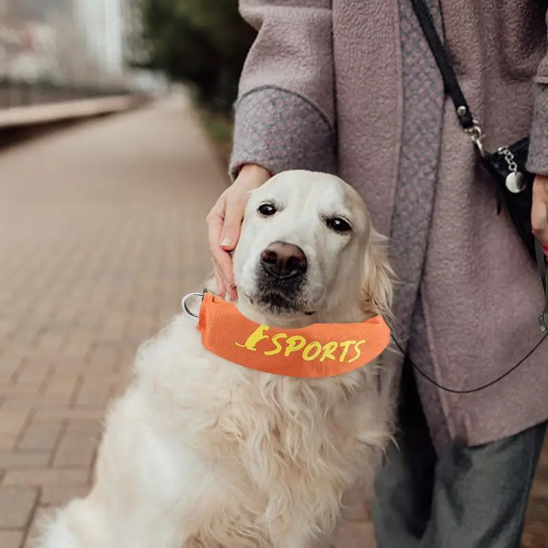 طوق بكلاب مع المقاود 2 في 1 طوق المقاود مجموعة قابل للتعديل مضغ برهان الهروب برهان تسخير للتحكم في نباح التنزه الجري