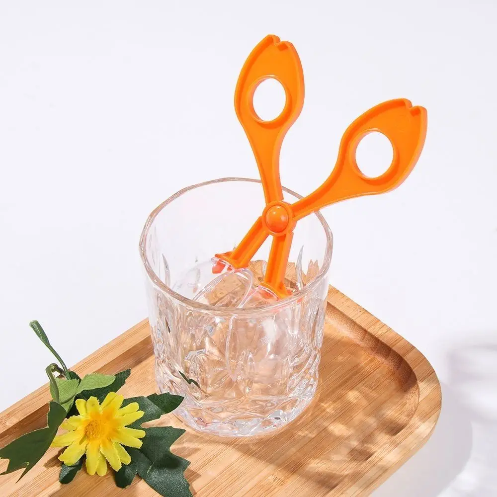 2Pcs/Set Cute Plastic Biology Study Tool Set Plant Insect Insect Catcher Set Scissor Clamp Nature Exploration Toy Kit Children