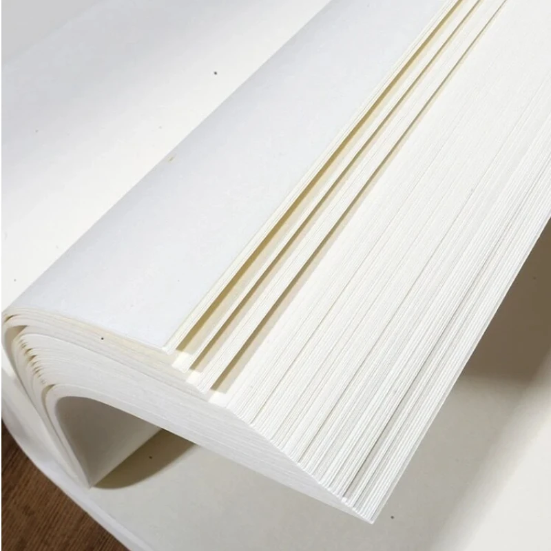 Raw Xuan Paper Semi Ripe Xuan Paper Chinese Calligraphy Painting Paper For Landscape Flower Bird Art Creation Writing Rice Paper