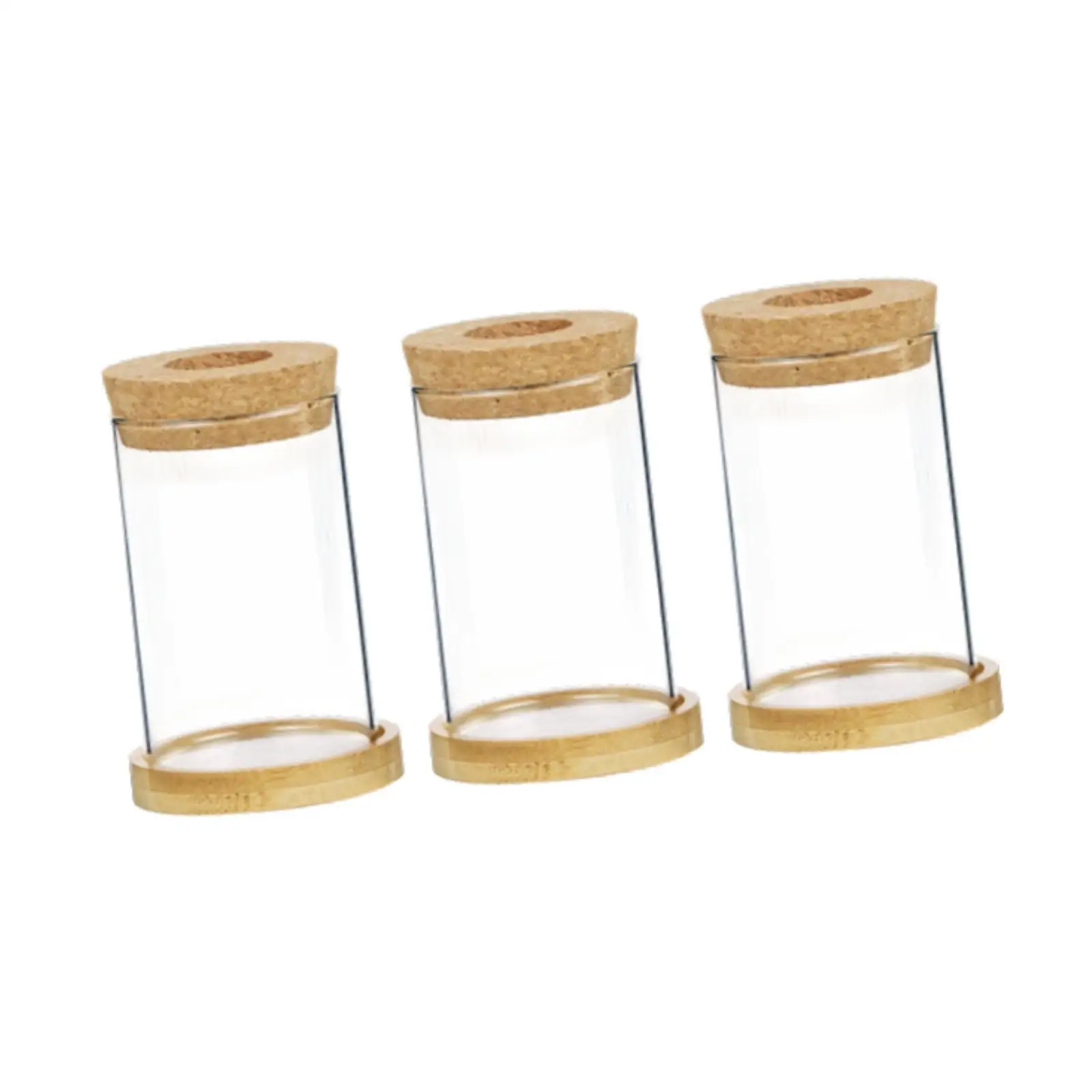 Clear Glass Vase with Cork Lid for Hydroponic Plants Modern Terrarium Pot for Home Office Window Sill Decor