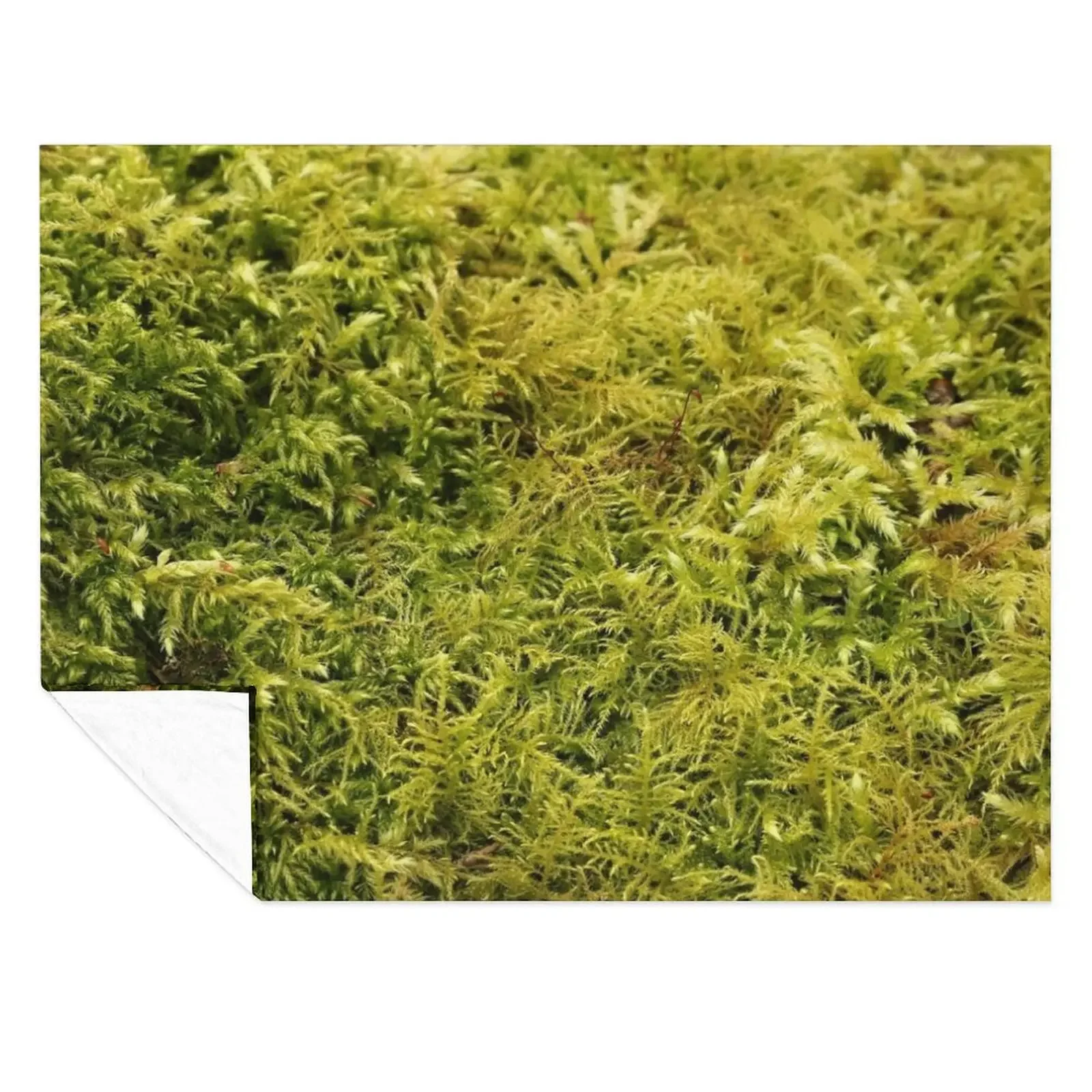 

Green Moss Texture Throw Blanket sofa bed Decorative Sofas Heavy Luxury Thicken Blankets