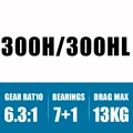 300H