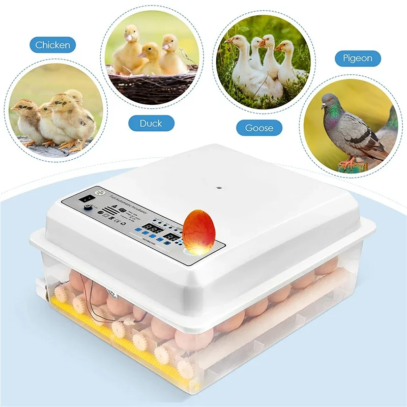 64 Egg Automatic Incubator Farm Hatchery Incubator Brooder Machine with Automatic Turner Hatcher Chicken Incubation Equipment