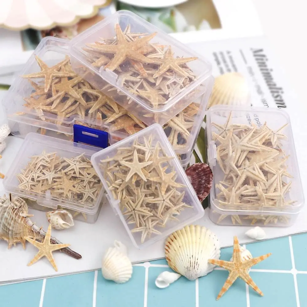 20/50/100PCS 1-5CM Natural Starfish Seashell Marine Ornament Hot Sale Boxed Aquarium Decoration Micro-landscape Materials