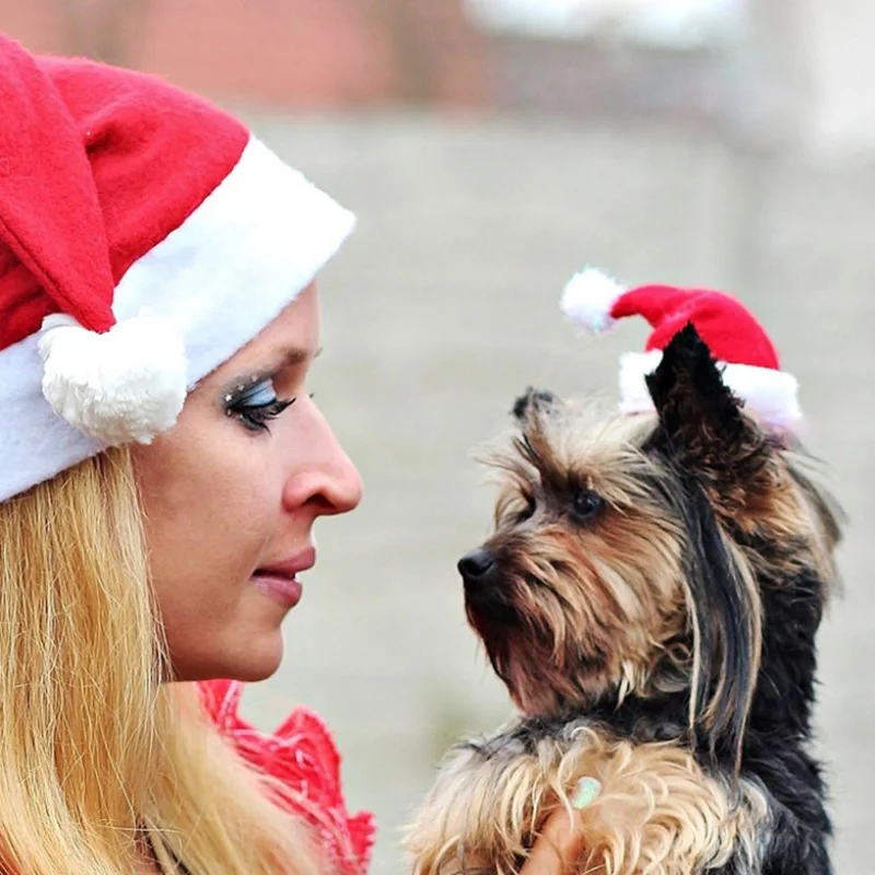 Red Plush Pet Santa Hat Soft Christmas Cap Festive Holiday Party Costume for Dogs And Cats Pet Photo Prop