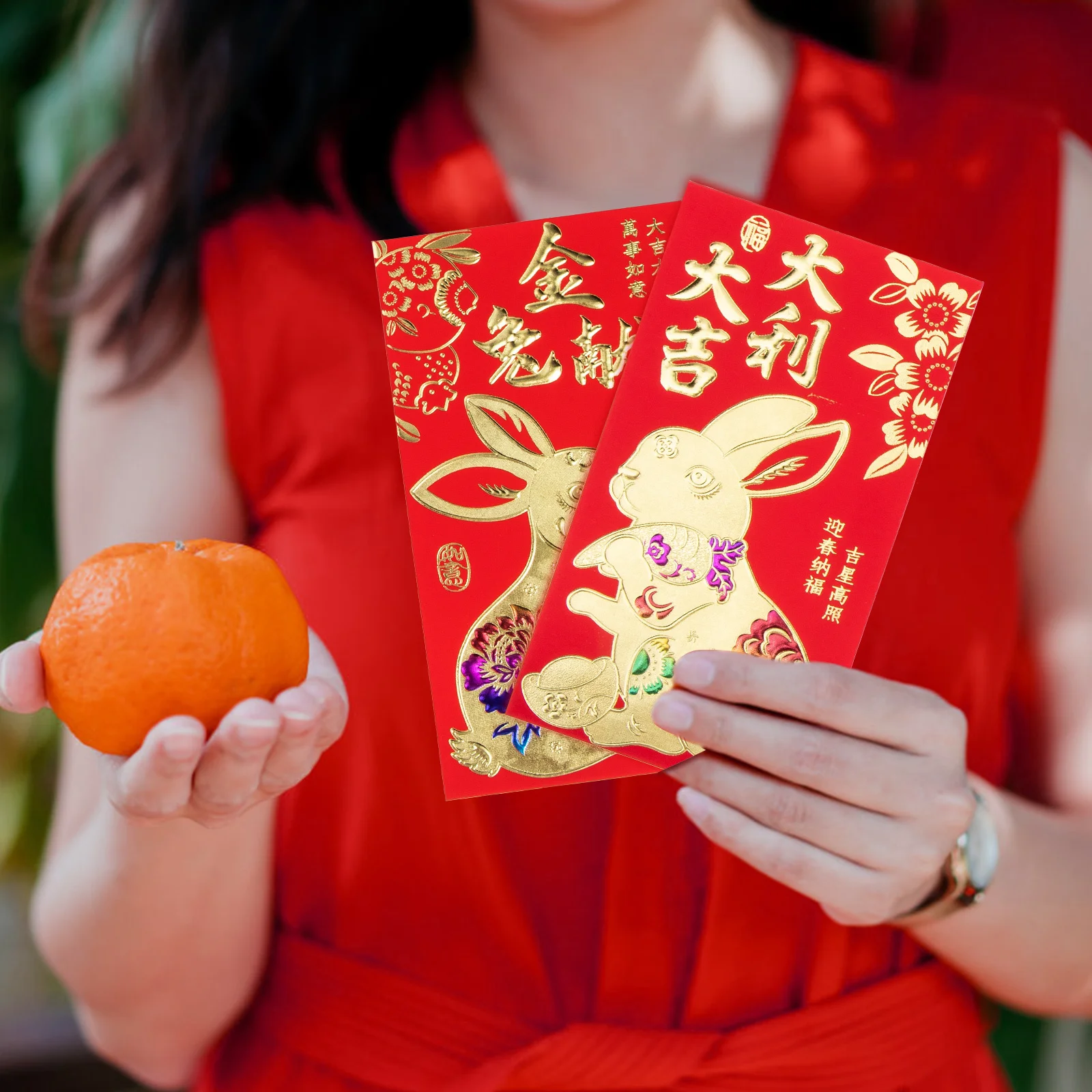 

30 Pcs Cartoon Red Pocket Chinese New Year Money Envelope Style Envelopes Cash Packets