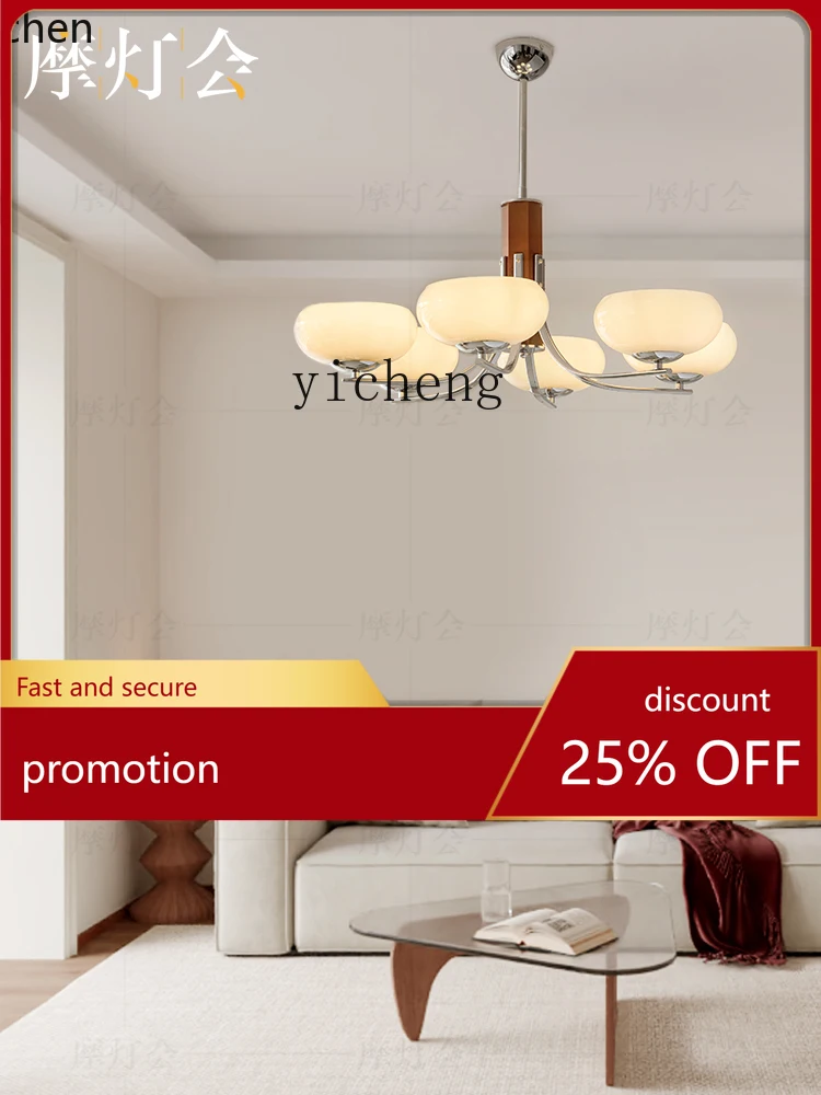 YFY Master Bedroom Study Chinese Ancient Style Restaurant Retro Full Spectrum Magic Bean Lamp