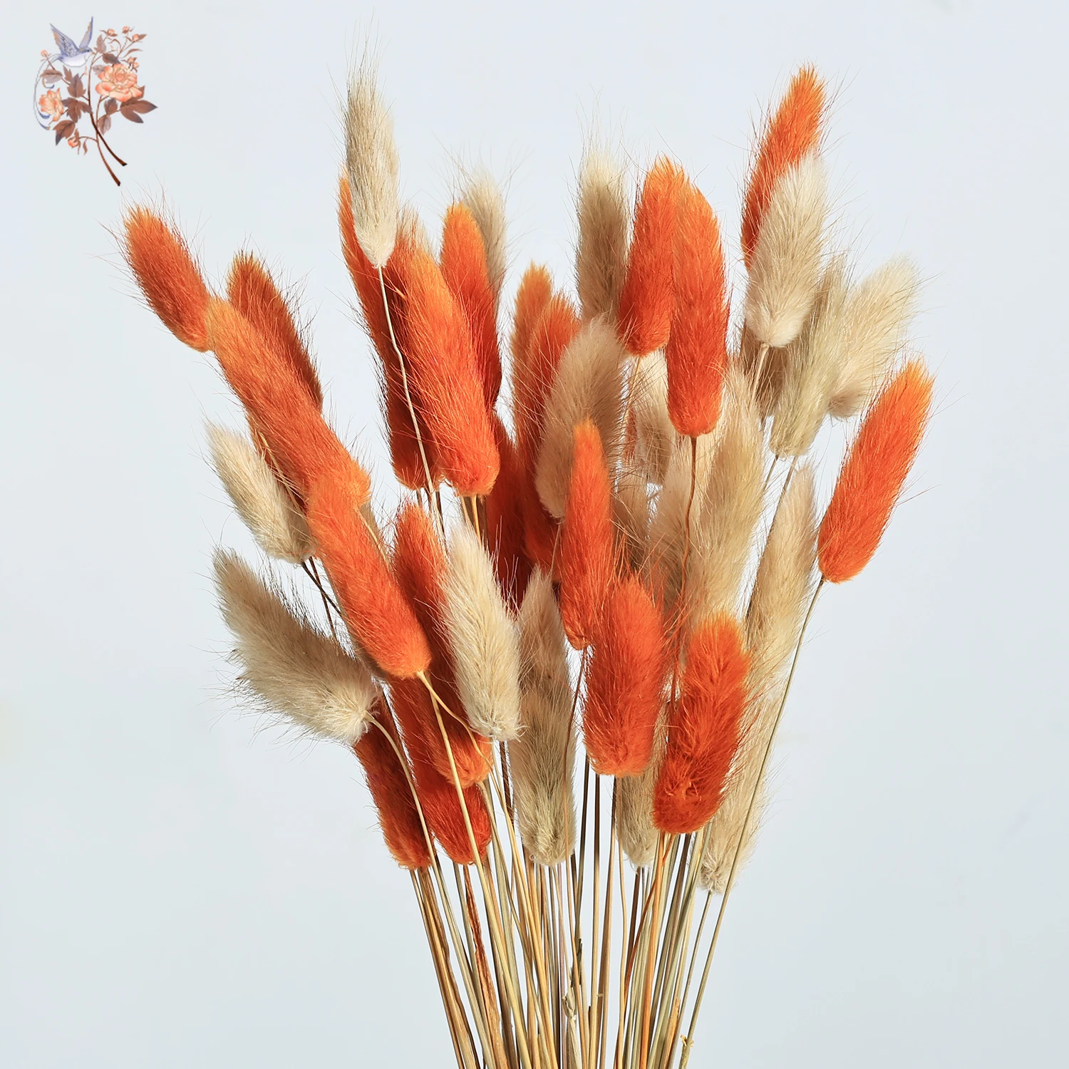 60 Stems Preserved Dried Bunny Tails Grass Flowers Bouquet Country Autumn Home Arrangement Mixed Colorful Rabbit Pampas Decor - Image 3