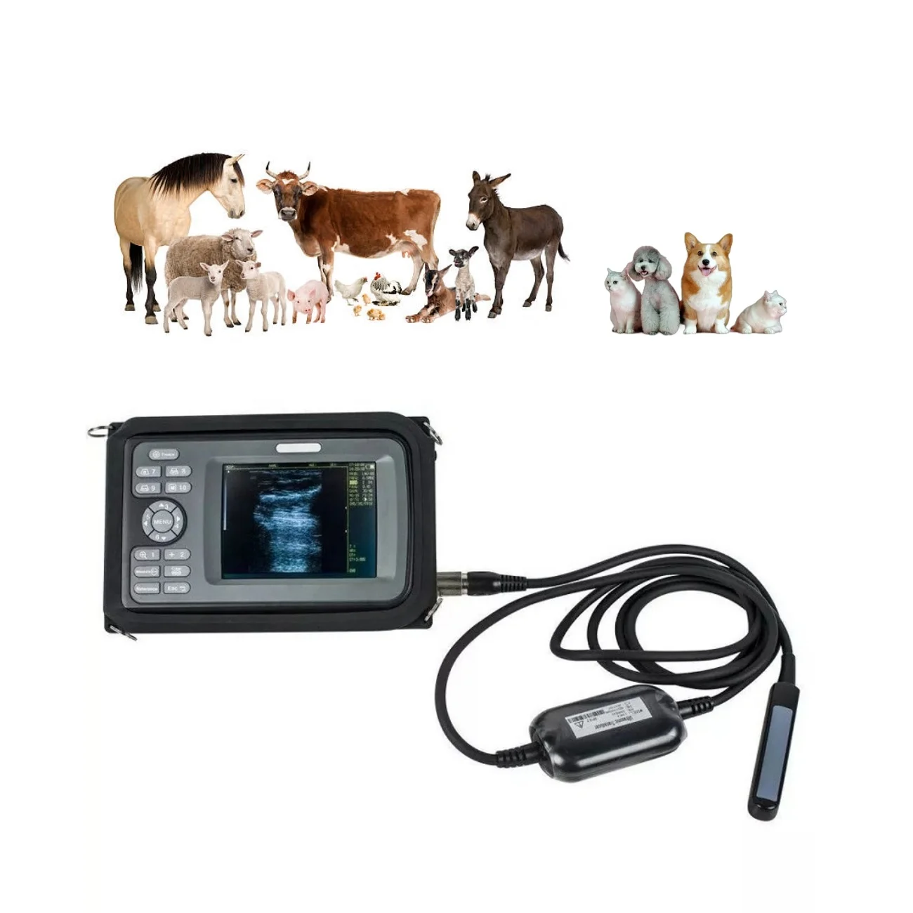 Veterinary Equipment Portable Ultrasound Scanner for Vet Cows Pigs Horses Goats Scanner Animal Ultrasound Scanner