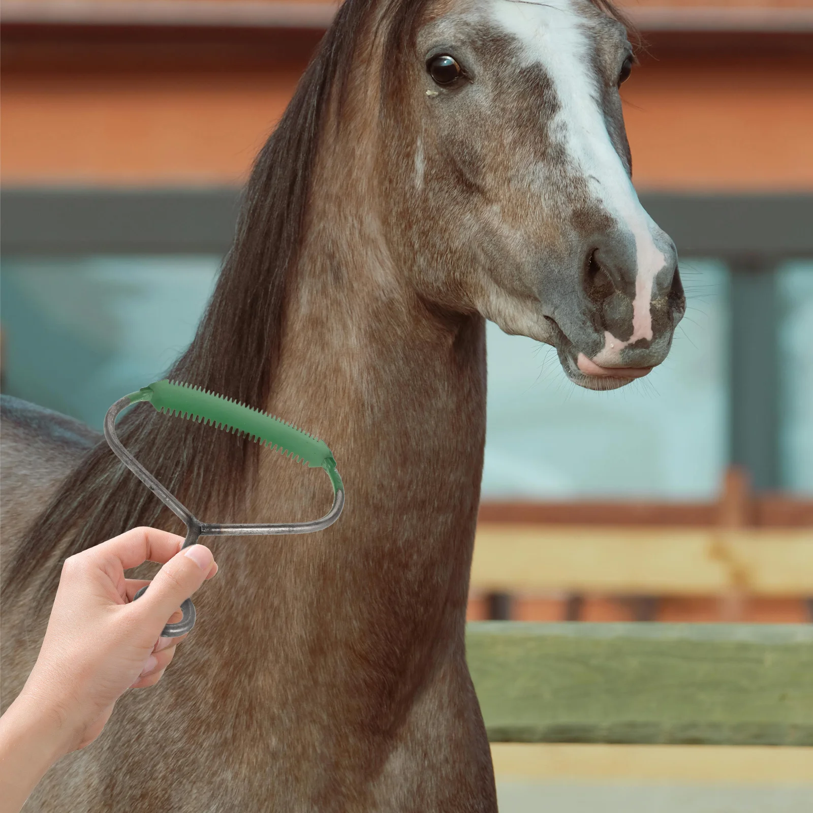 

3Pcs Horse Grooming Brush Durable Horse Hair Remover Ergonomic Handle Shedding Comb Livestock Cleaning Tool Pet Hair Brush