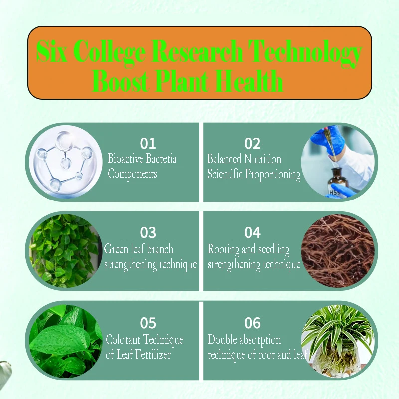 Nutrient Solution Universal Plant Concentrated Flower Fertilizer Flower Cultivation Household Flower Potted Plant Soil Hydroponi - Image 5