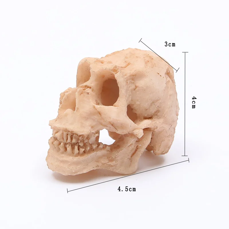 Human Head Skull Figurine Replica Resin Skull Miniature Aquarium Decoration Ornament Fish Tank Reptile House Decorations