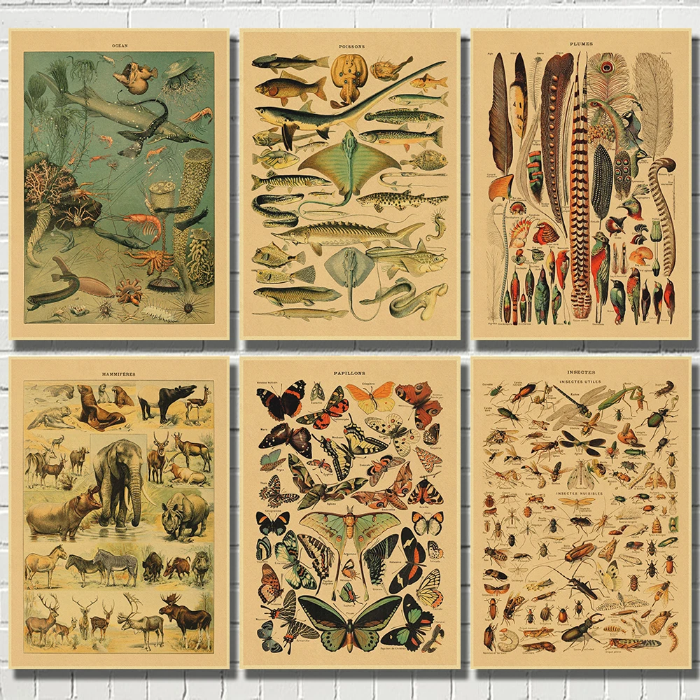 Vintage Classic Wall Art Plants Mushroom Medicine Flower Insect Butterfly Vegetable Pumpkin Carrot Canvas Oil Kraft Paper Poster