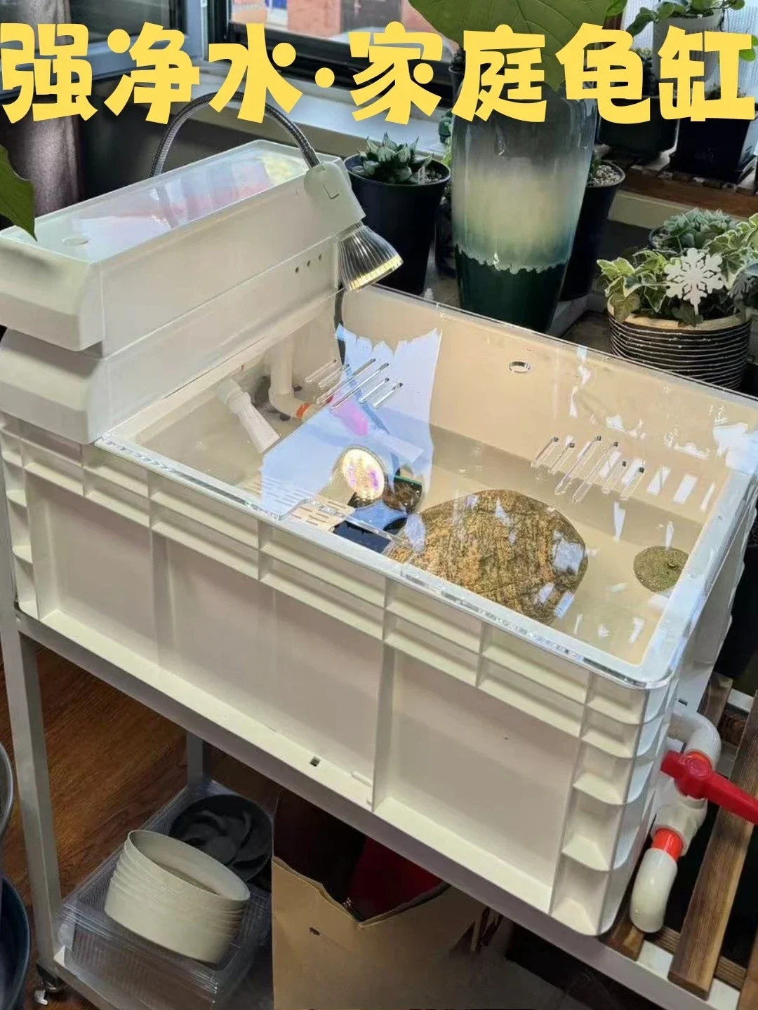 60 short filter box turtle turnover box turtle ecological room household turtle tank hair color