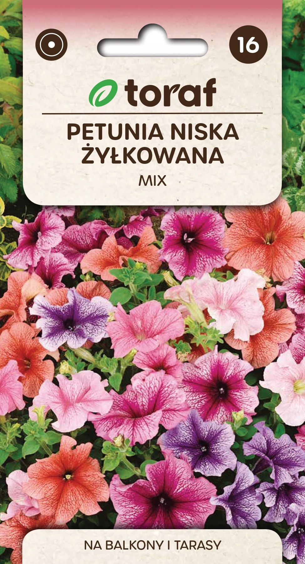 Laagstaande geaderde petunia MIX van kleuren Bloemzaden-614 Toraf