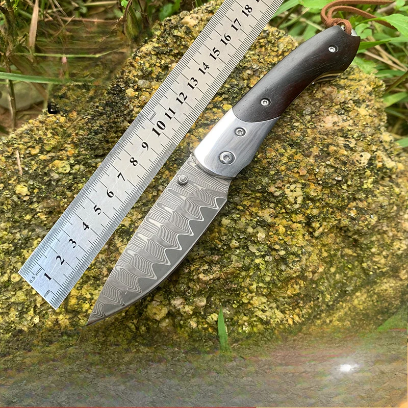 RHON Small Size VG10 Damscus Steel Folding Knife Razor Sharp Outdoor Camping BBQ Meat Boning Pocket EDC Knives Ebony Wood Handle