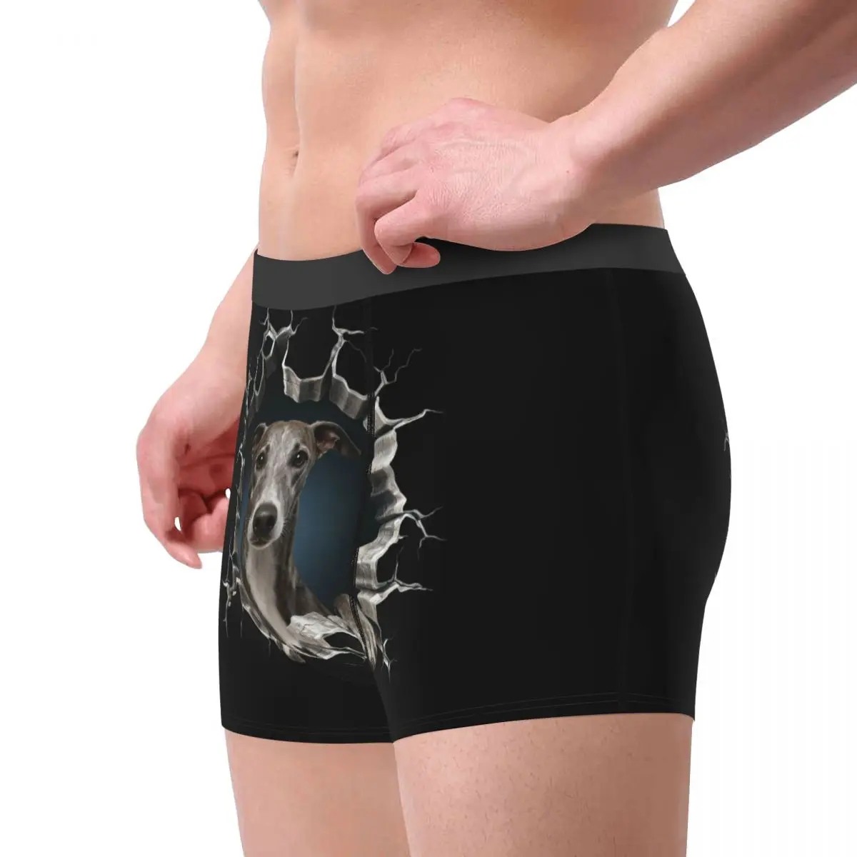 Ropa interior Breaking Through Greyhound para hombre, calzoncillos Boxer elásticos para amantes de los perros, pantalones cortos, bragas, calzoncillos, regalo de cumpleaños para el Día de San Valentín