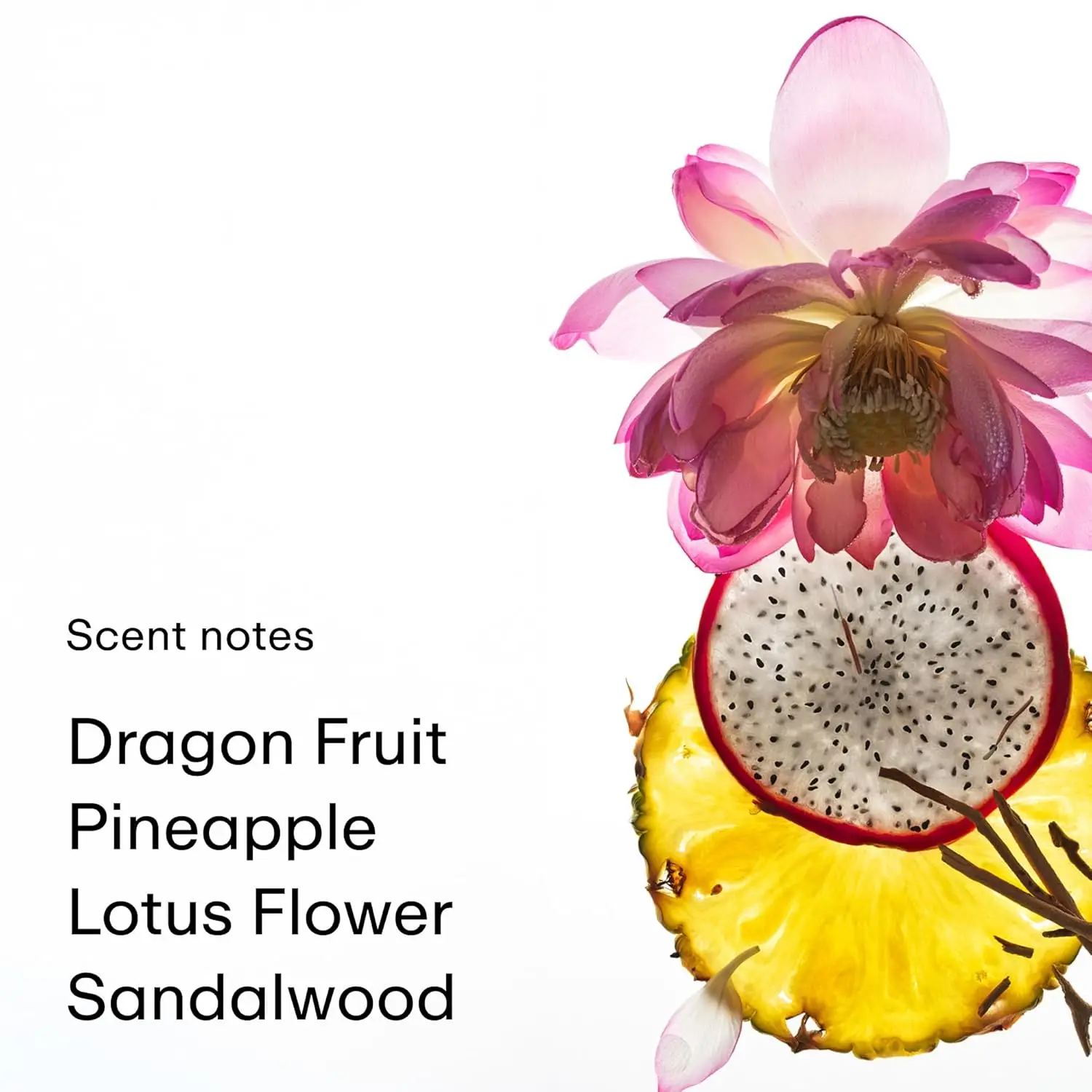 رذاذ الجسم من PHLUR Dragon Fruit - رذاذ عطري للشعر والجسم - رذاذ الجسم من فاكهة التنين والفاوانيا وخشب الصندل والفانيليا (8 أونصة سائلة) #2