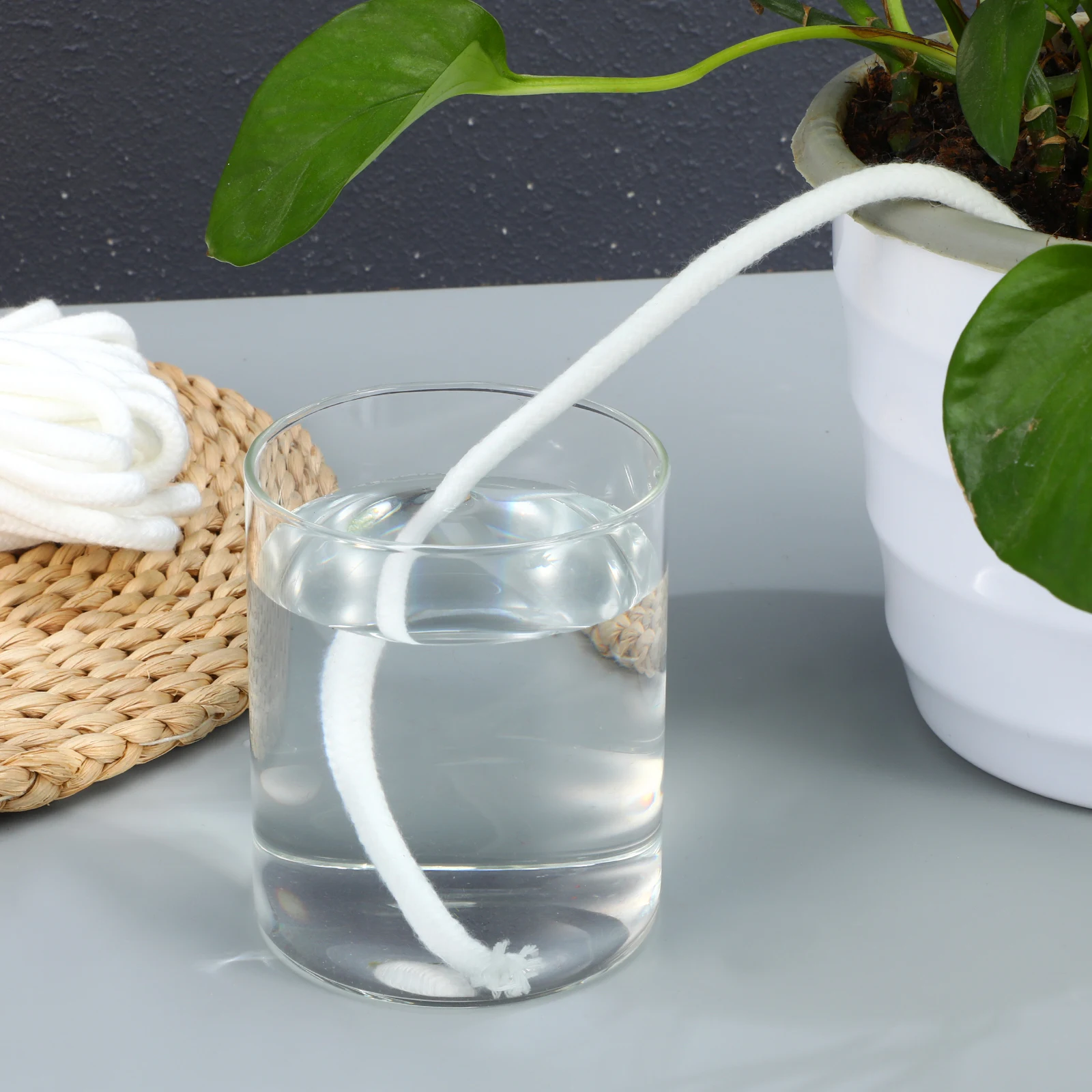 

8Mm 20 Meters Absorbent For Potted Plants Cotton Hydroponic Self Watering Cord Wicking Rope Flower Waterer Cotton Rope Planter