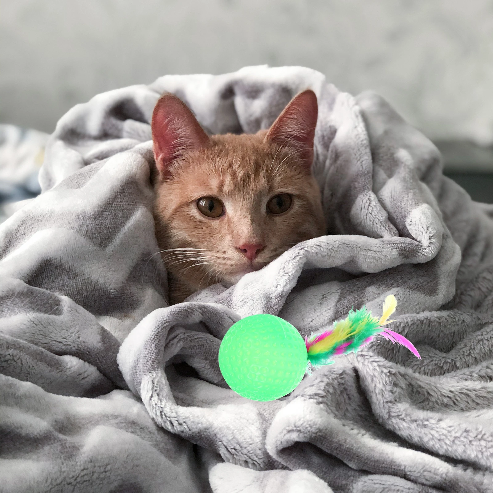 

2 PCS Plastic Ball Cat Sponge Cute Creative Colorful Teasing Rolling