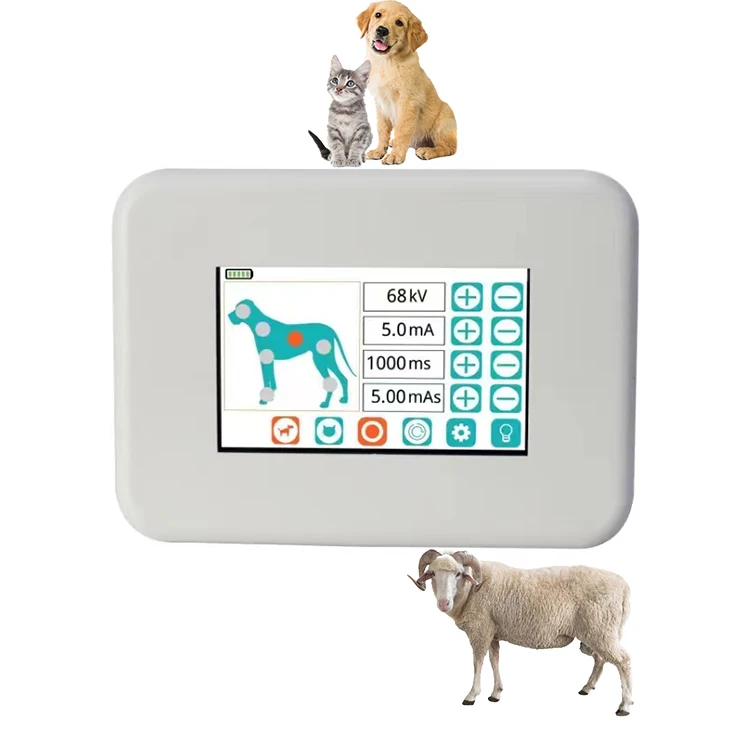 Portable Veterinarian Dog Animal Digital Veterinary Xray Machine for Vet Pets