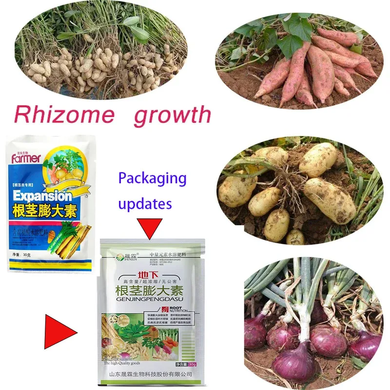 Tuber Expansion Fertilizer Plant Food Promote Rhizome Growth Root Crop Hydroponics Farm Vegetable Rooting Powder Fertilizer