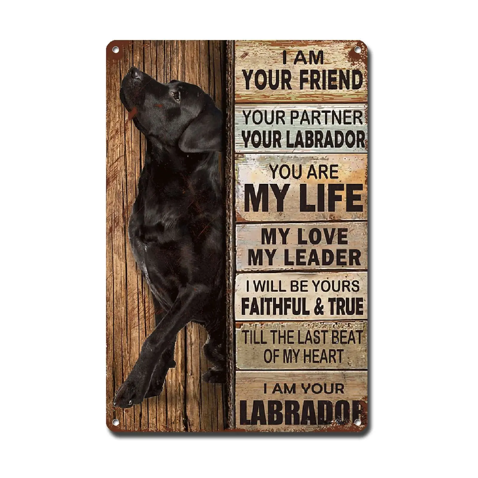 Lygond Metal Sign Tin Sign Vintage Wall Art I Am Your Friend Gift For Labrador Dog Lovers dog lovers Vintage Wall Art Prints Met