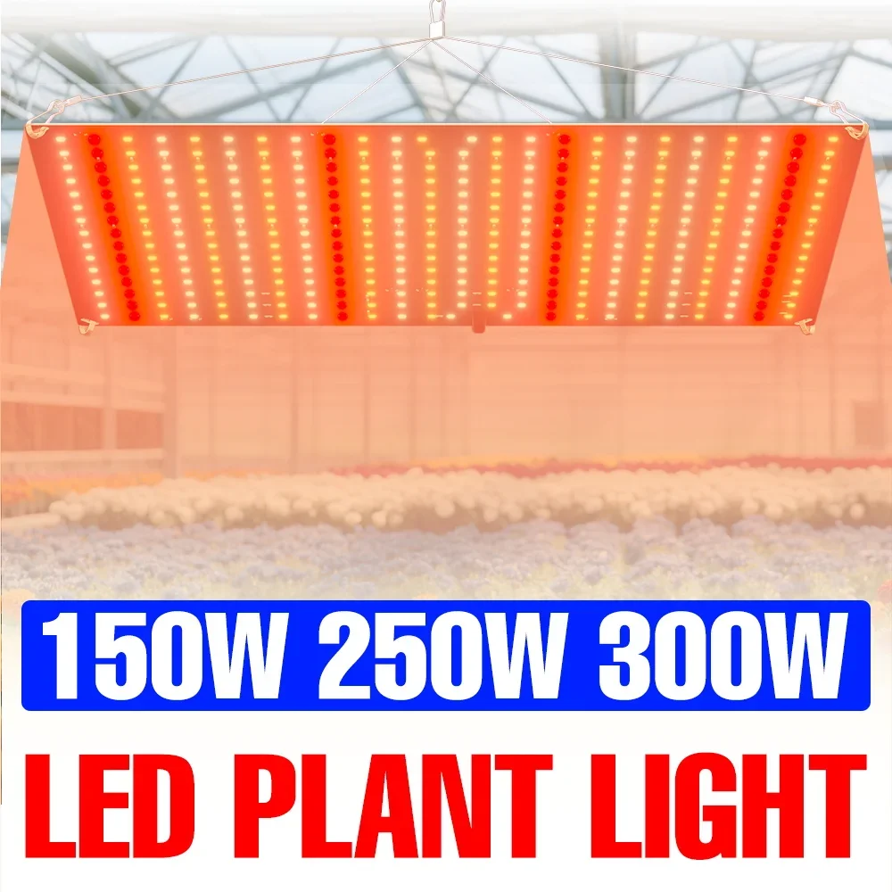 300 واط LED نبات الطيف الكامل تنمو ضوء 220 فولت الكم مجلس الدفيئة خيمة بذور الفاكهة زهرة الخضار زراعة ملء الإضاءة