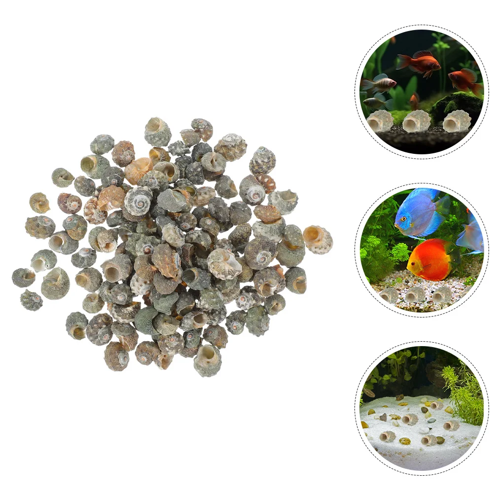 

100Pcs Conch Shell Decorations Realistic Hermit Crab Shell Replacements Fish Tank Aquarium Landscape Decor Conch Shells