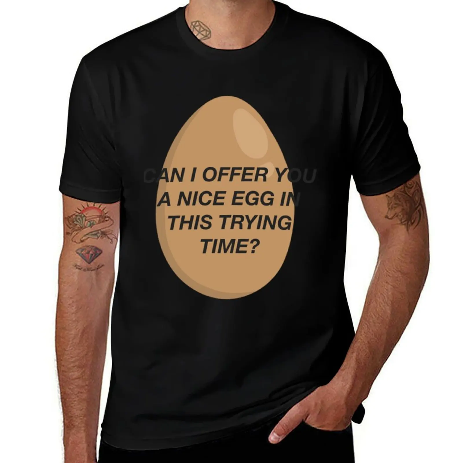 CAN I OFFER YOU A NICE EGG IN THIS TRYING TIME - It_s Always Sunny T-Shirt Active Sports Short Sleeve Cotton Shirt T-Shirt