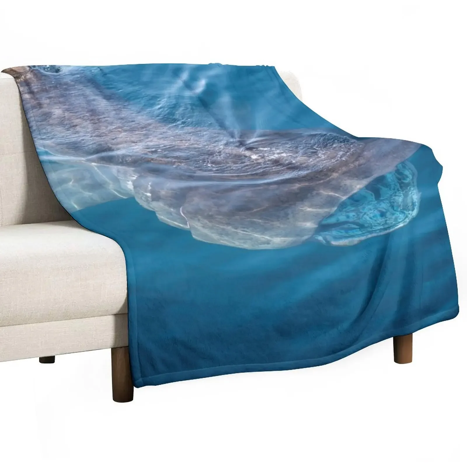 Basking Shark, West Cork, Ireland Throw Blanket Shaggy Large For Sofa Thin Blankets