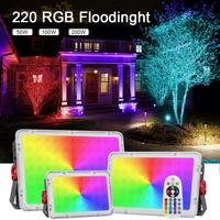 50W 100W 200W Outdoor RGB LED Floodlight Spotlight 220V Led Projector Lamp Waterproof Flood Light For Home Lighting Decoration