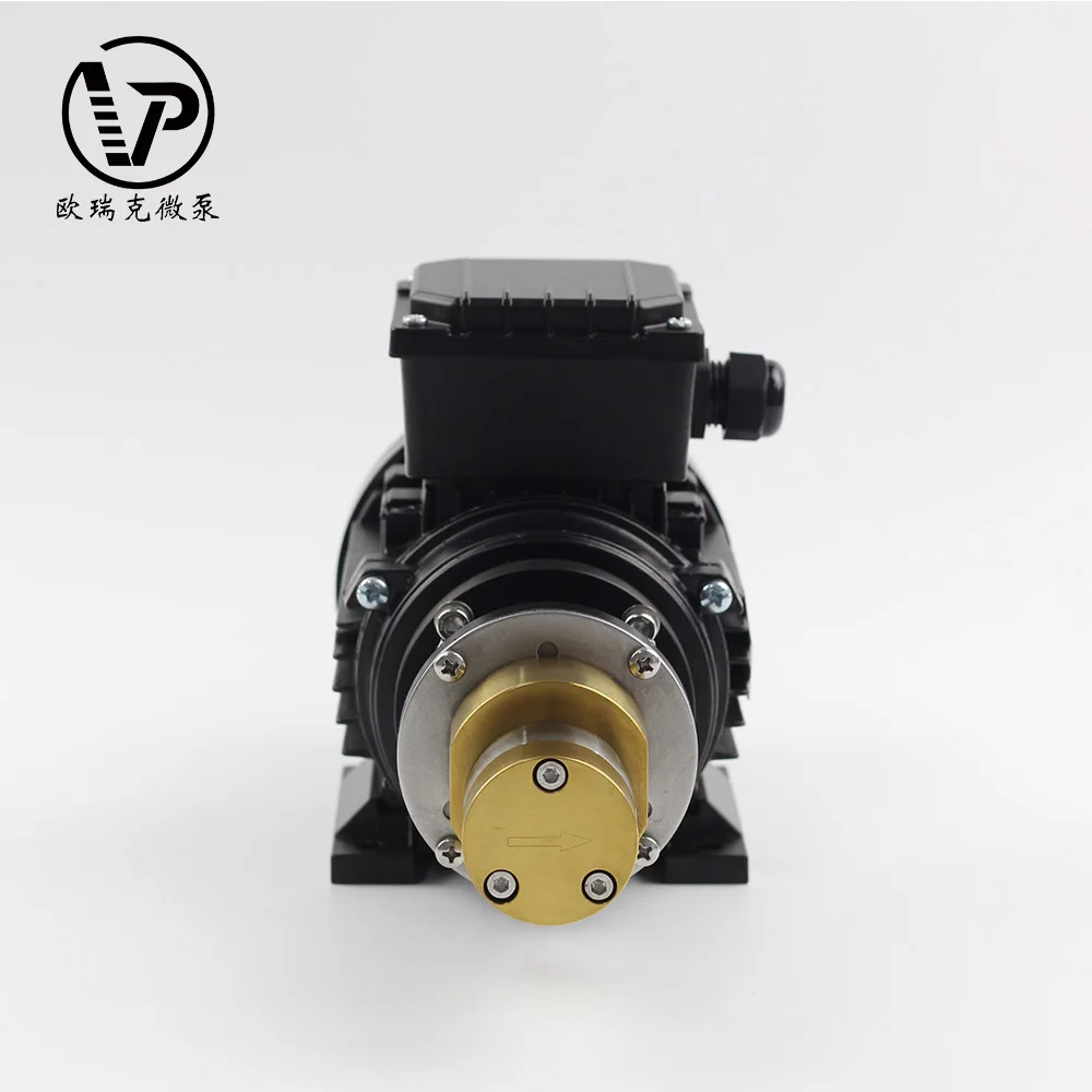 Professional cheap high pressure constant speed AC 220V 5 bar oil micro magnetic gear chemical process IP54 pump