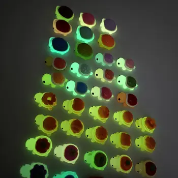 8 最佳銷售 海龜 - №2