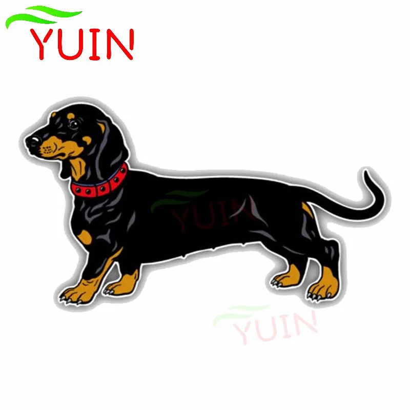 Lovely Smooth Haired Dachshund Dog High Quality Car Sticker Bumper Window Graphic Decoration Decal Waterproof Stickers 14*8cm