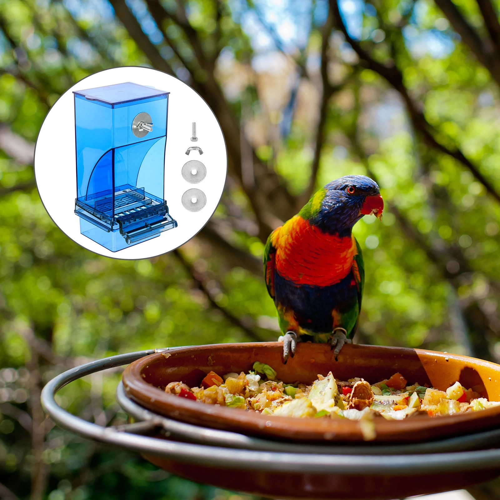 

Parrot Automatic Feeder Pet Bird Feeder Pet Feeder Bird Acrylic Feeder Bird Food Box